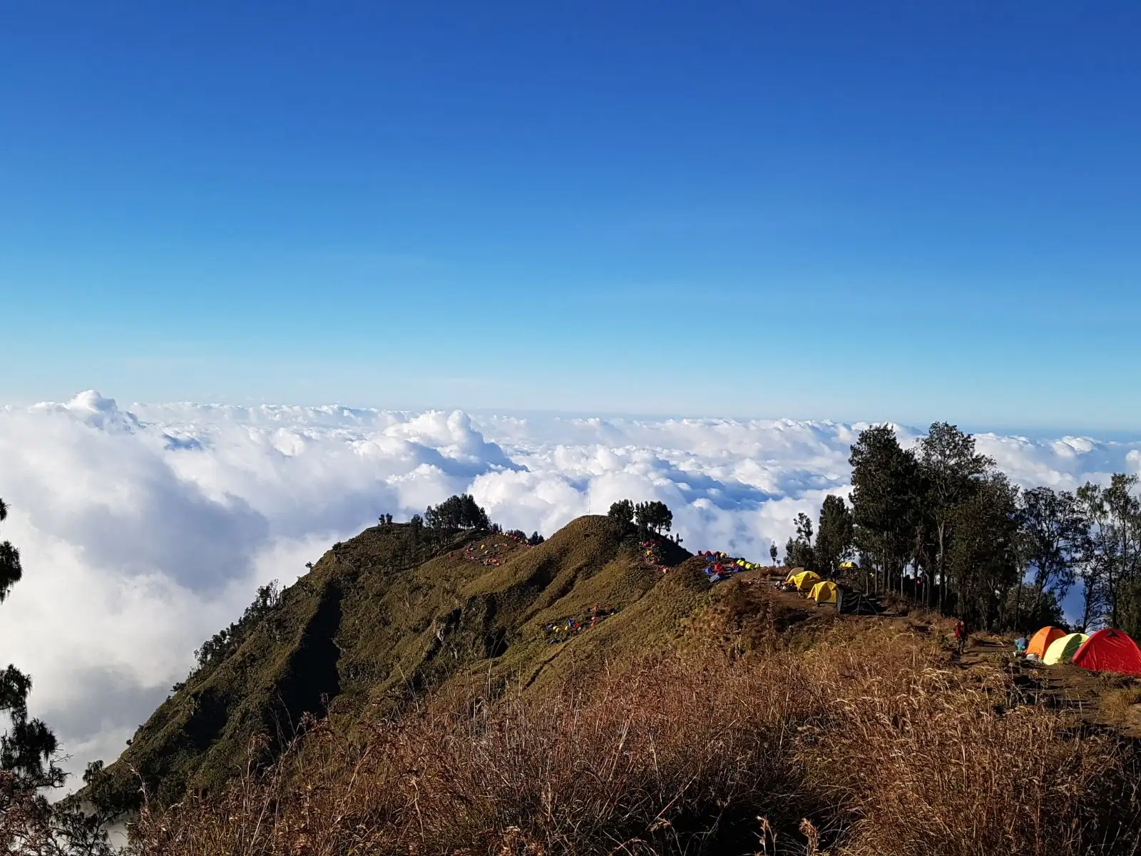 Sembalun Crater Rim campsite on Mount Rinjani